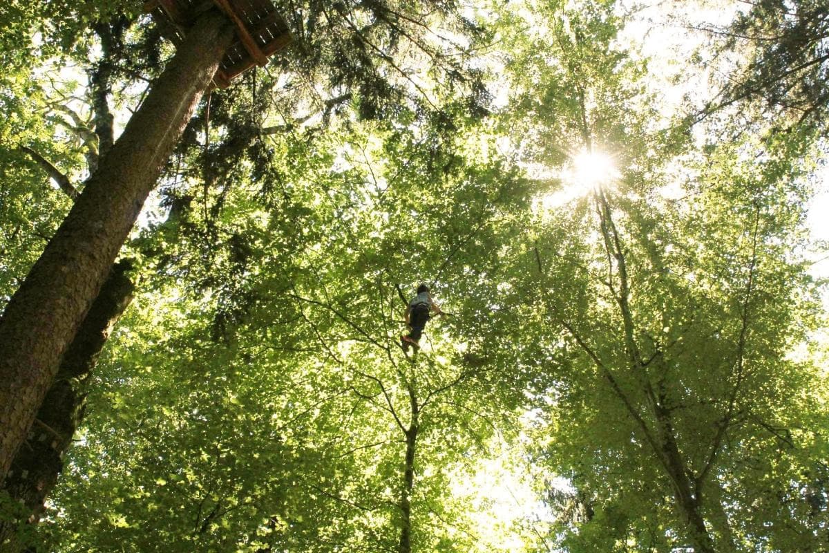 Adventure Park Interlaken (Seilpark Interlaken)