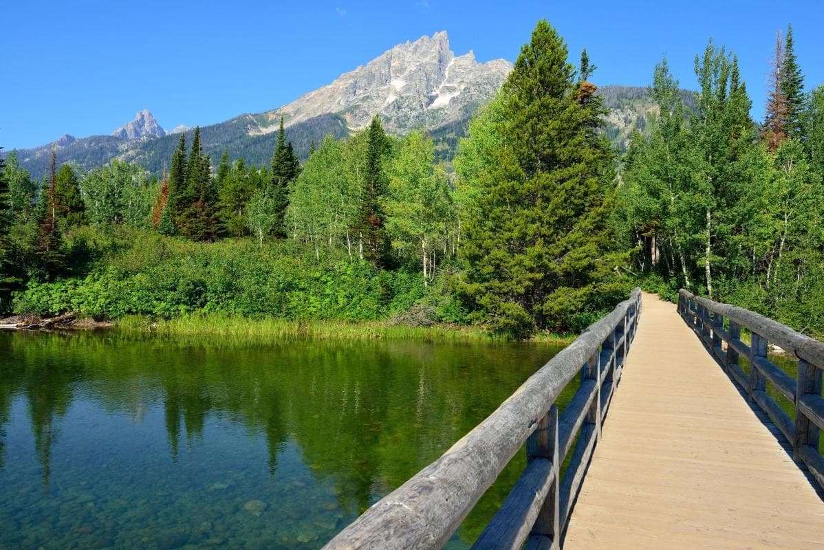 Jenny Lake Trail