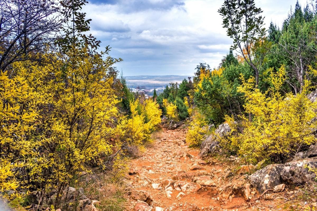 Medjugorje