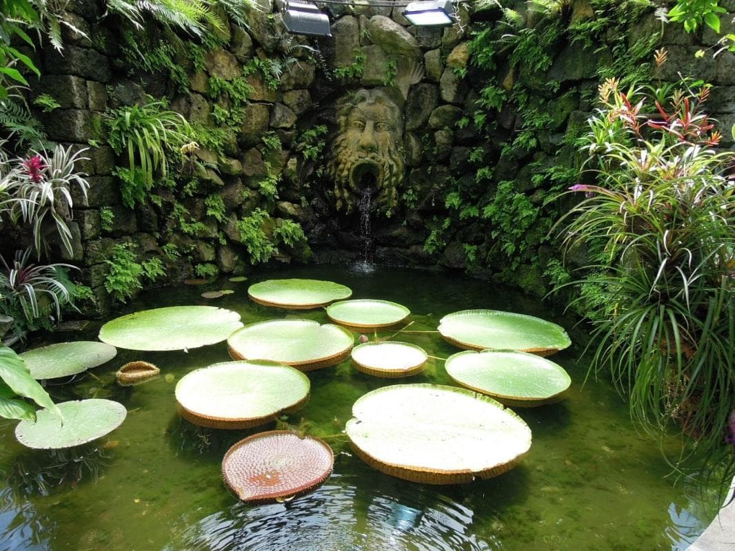 La Mortella Gardens (Giardini La Mortella)