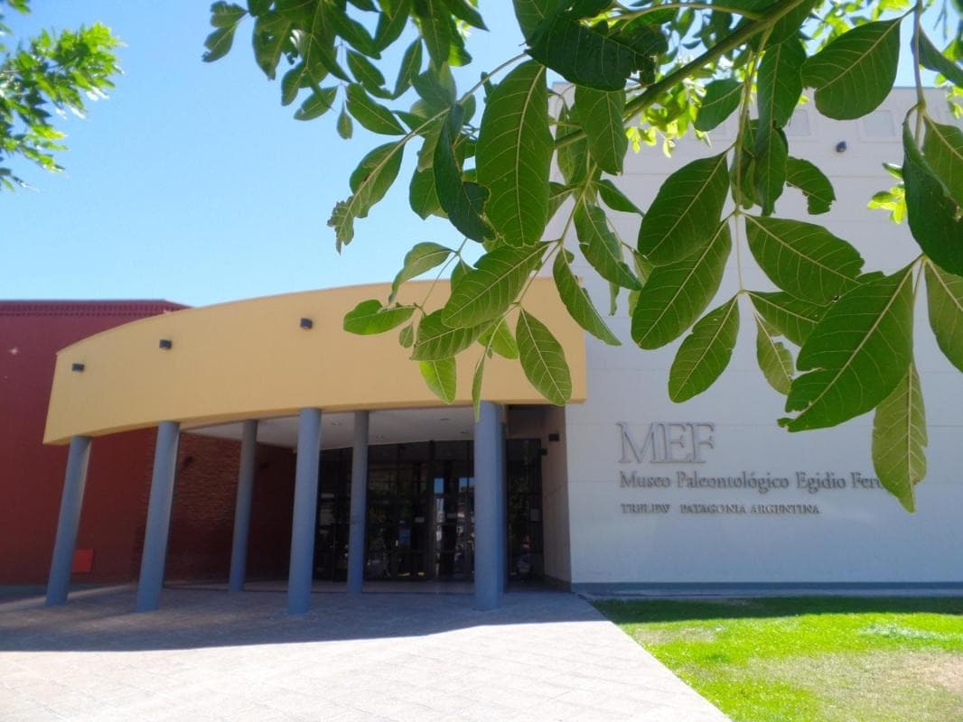 Museum of Paleontology Egidio Feruglio (MEF)
