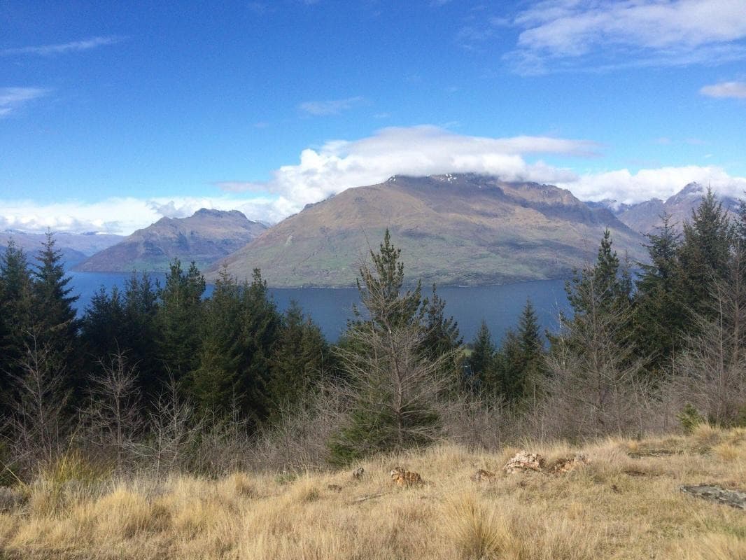 Queenstown Hill