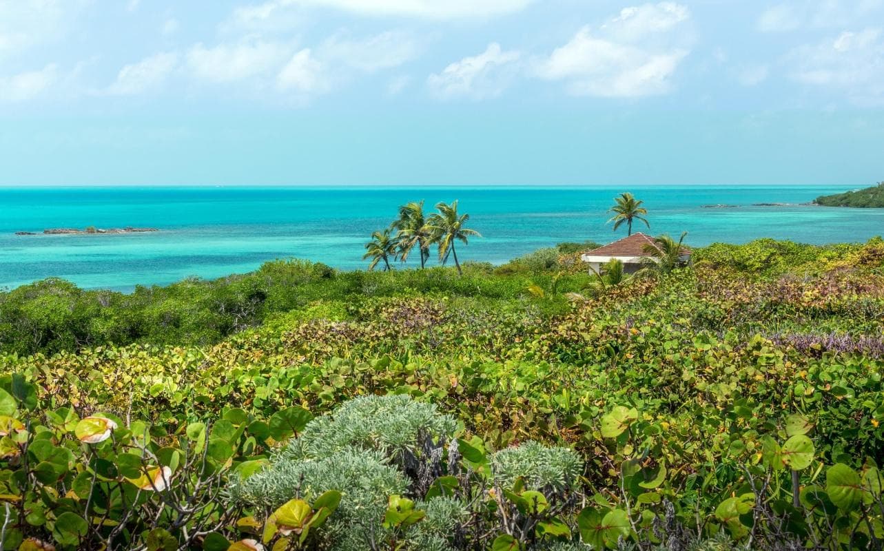 Isla Contoy