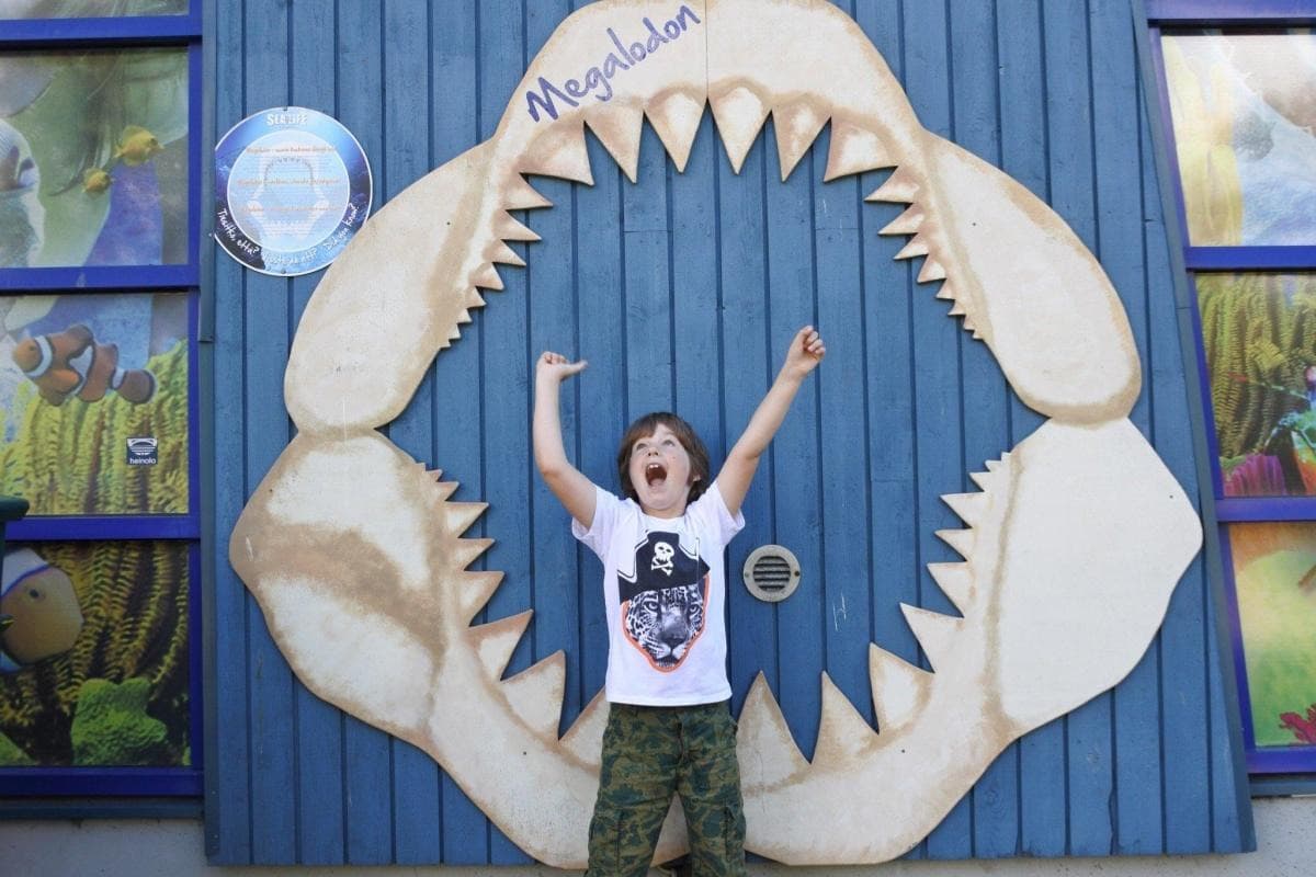 SEA LIFE® Helsinki
