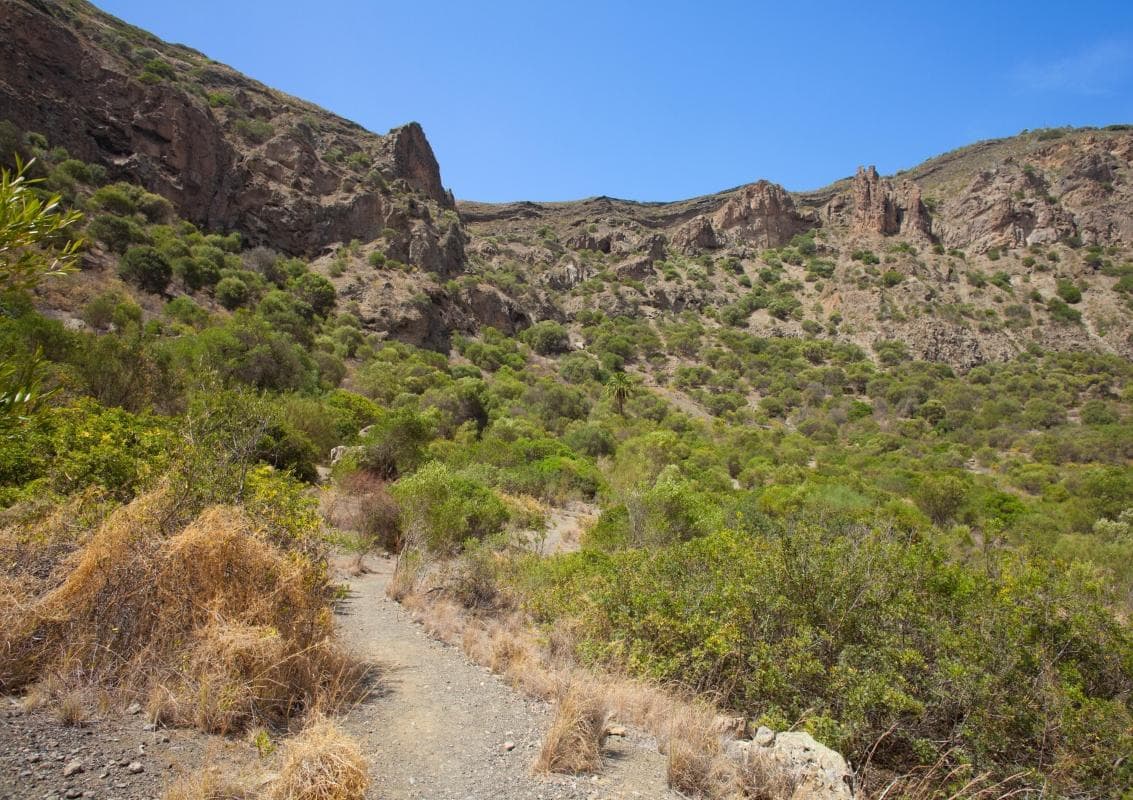 Bandama Caldera (Caldera de Bandama)
