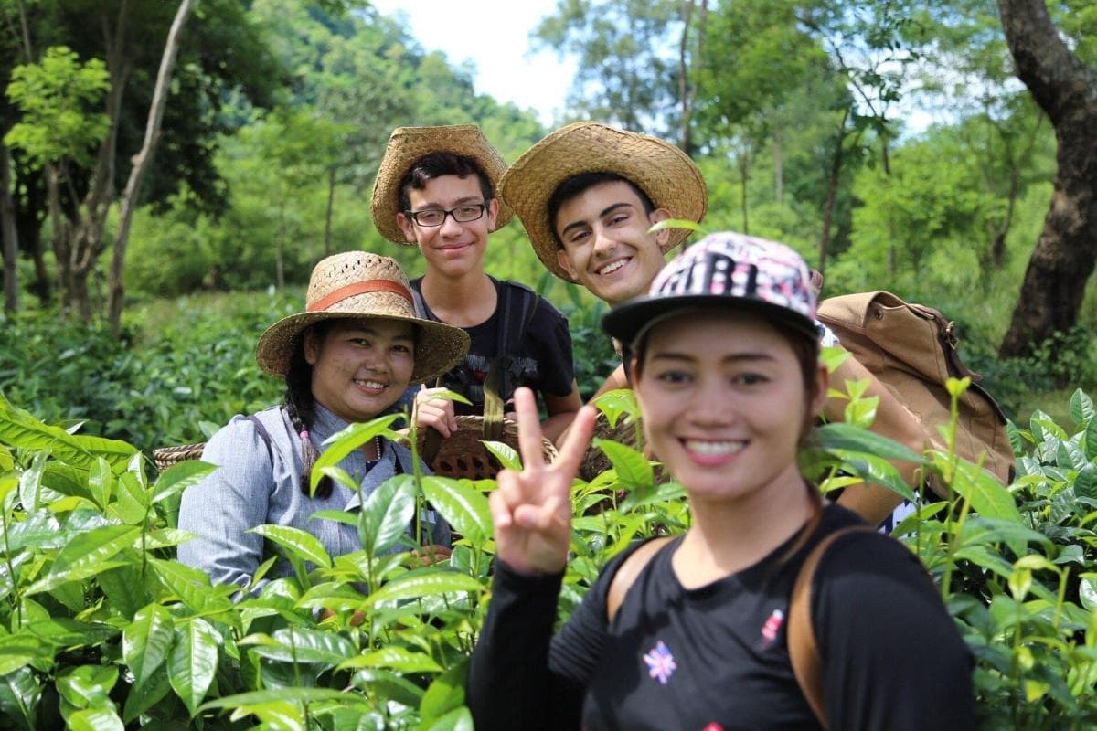 Araksa Tea Garden