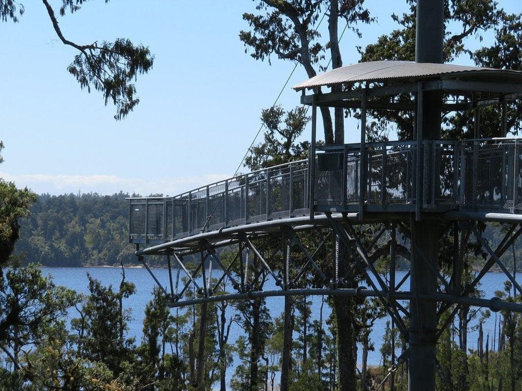 Westcoast Treetop Walk & Cafe