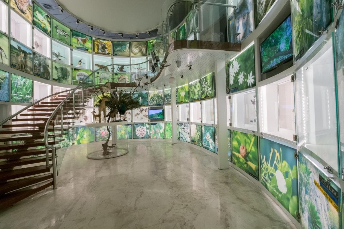 Quang Ninh Museum (Bao Tang Quang Ninh)