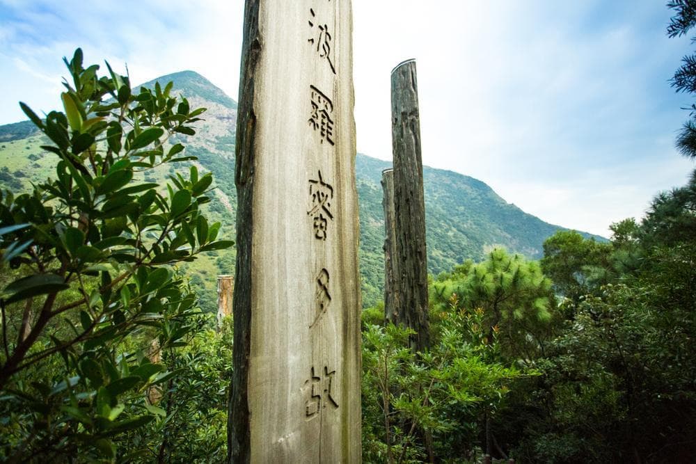 Wisdom Path
