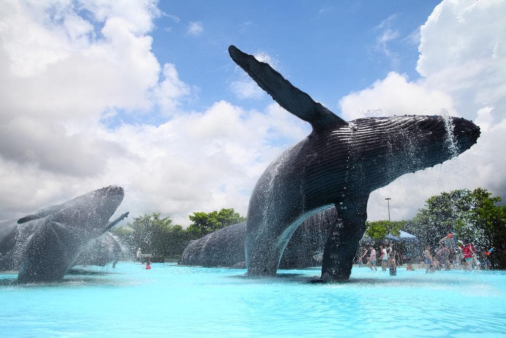 National Museum of Marine Biology and Aquarium