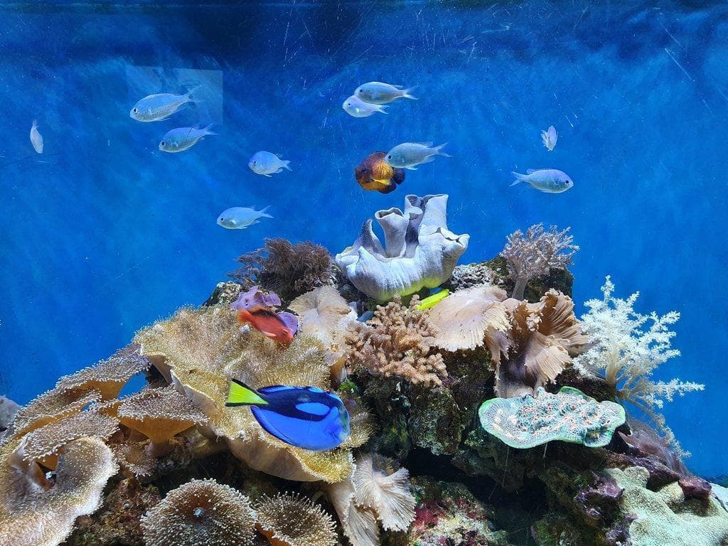 SEA LIFE® Great Yarmouth