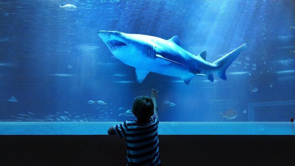 AquaRio Aquarium