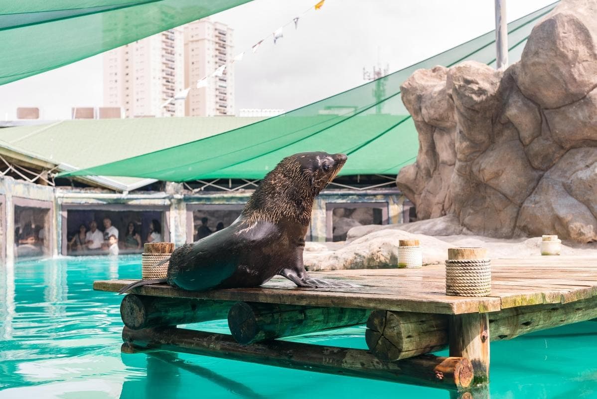 Sao Paulo Aquarium