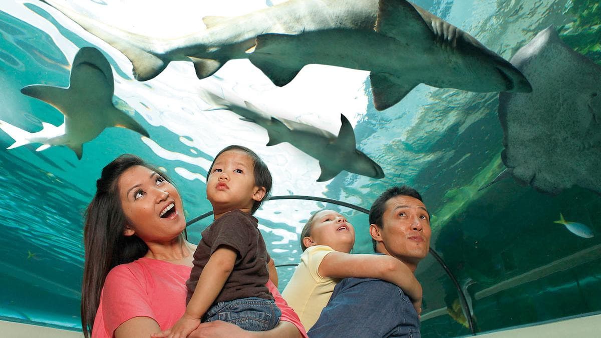 SEA LIFE® Orlando