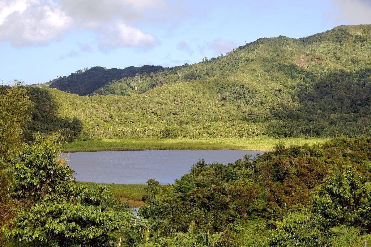 Grand Etang Lake