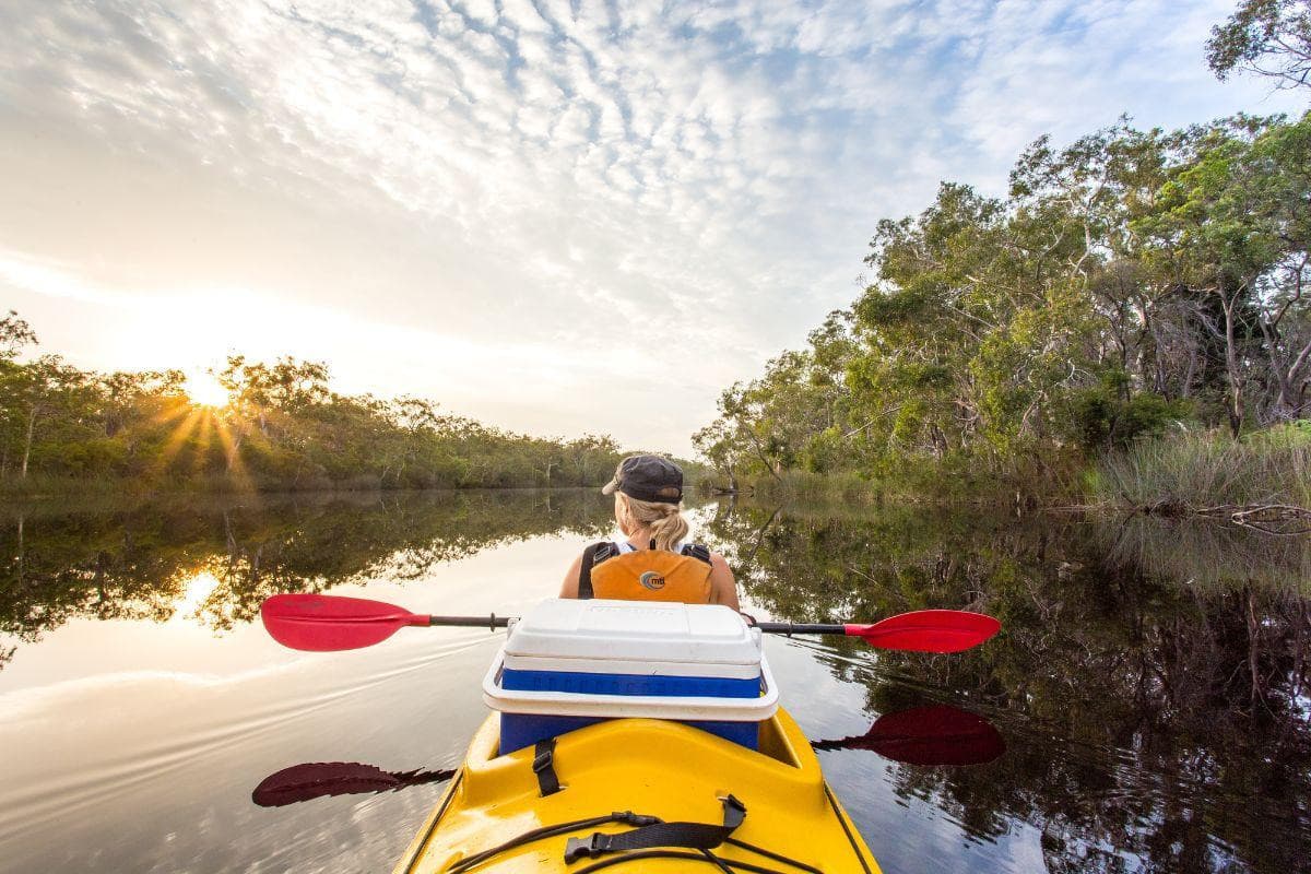 Noosa Everglades