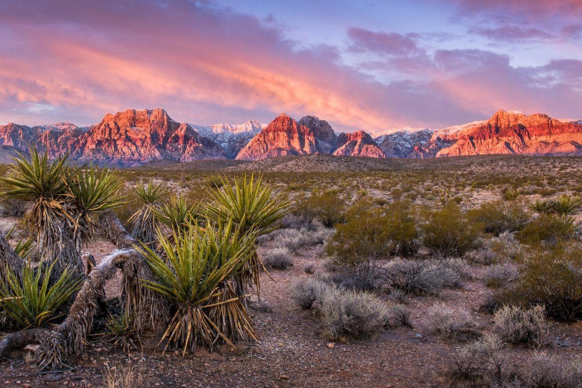 Red Rock Canyon