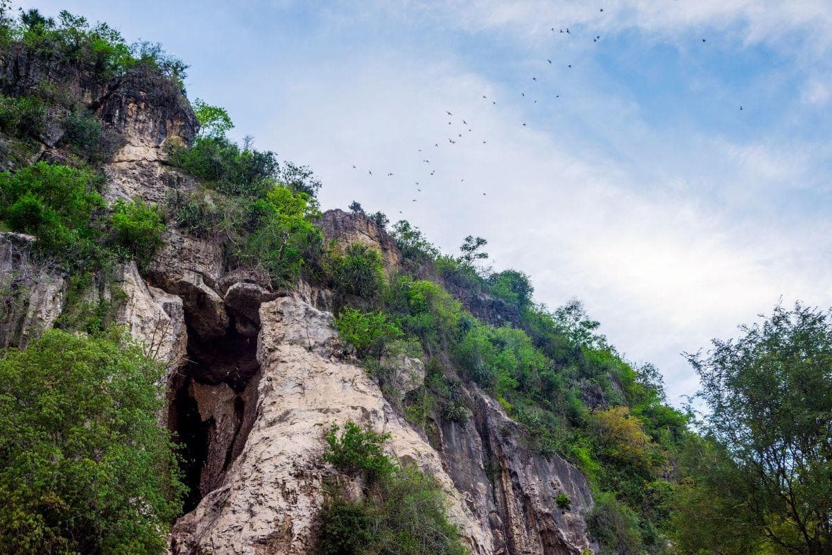 Battambang Bat Caves