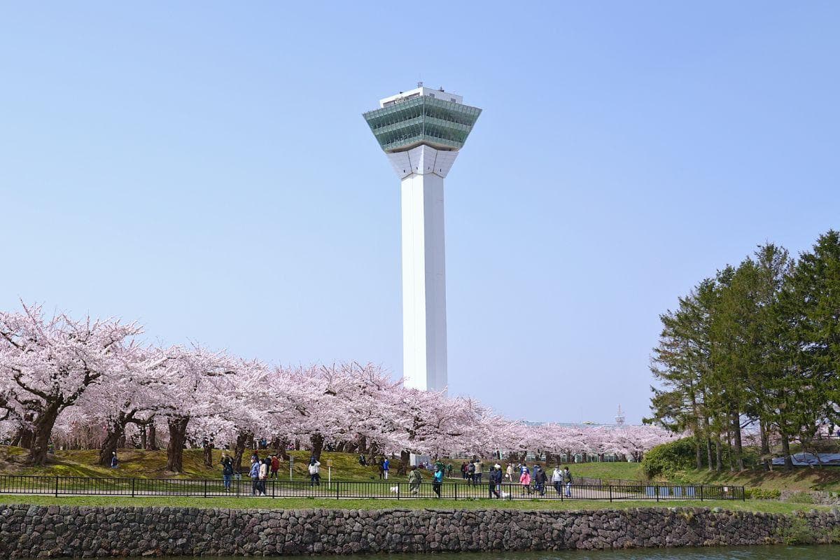 Goryokaku Tower