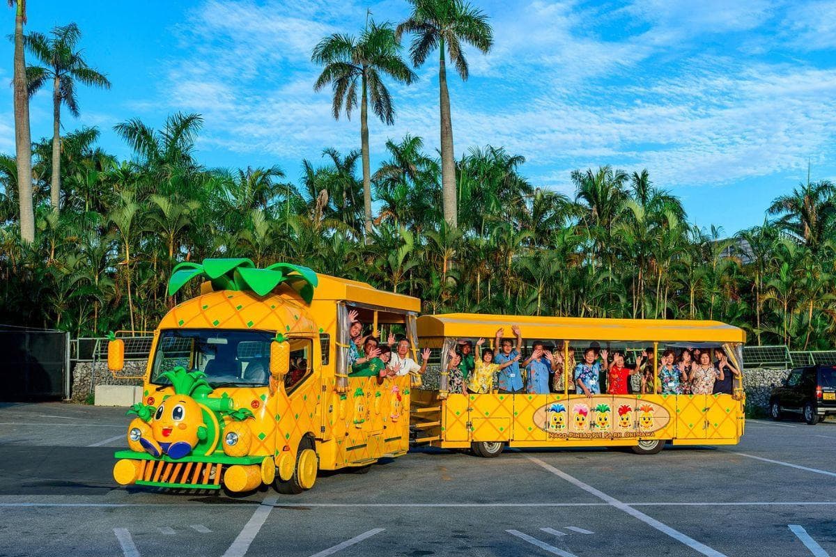 Nago Pineapple Park