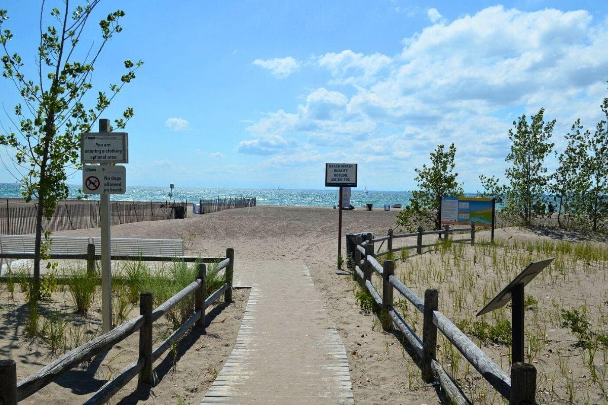 Hanlan’s Point Beach
