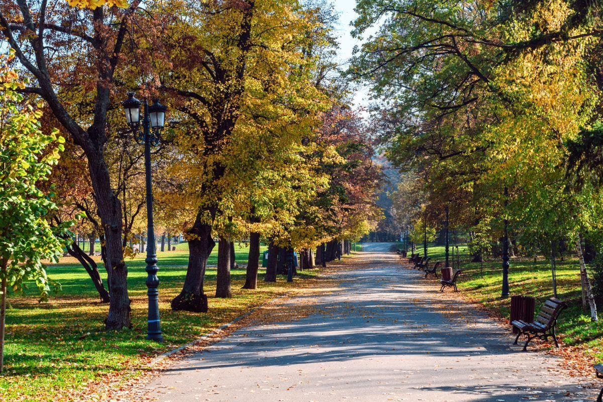 Borisova Gradina