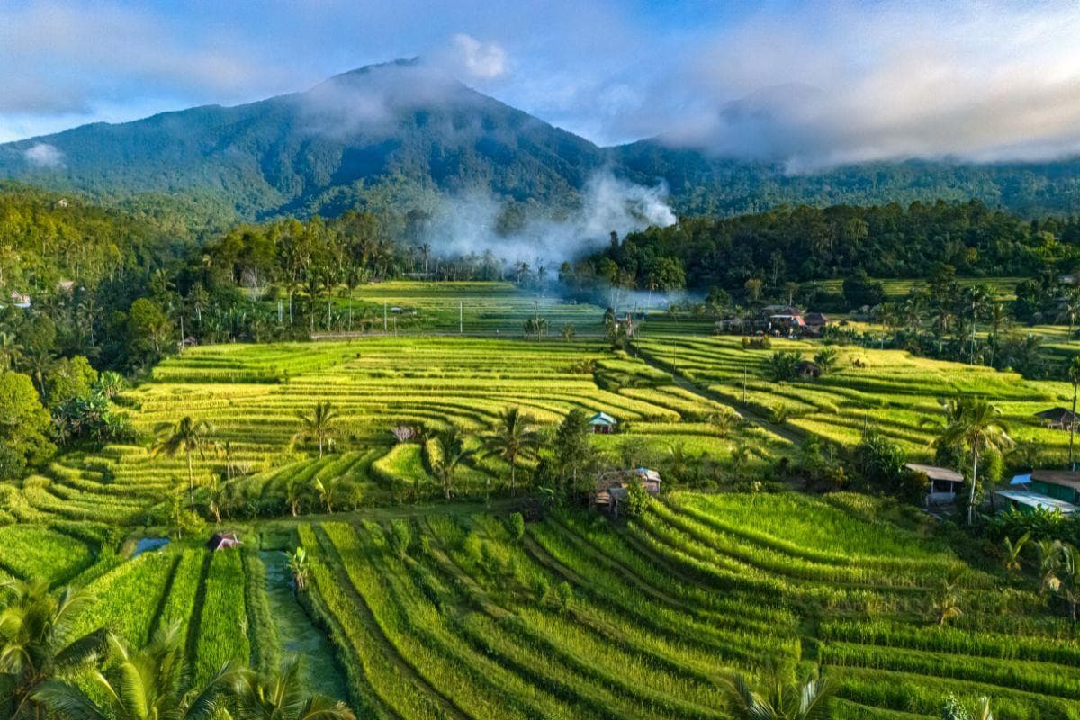 Jatiluwih Rice Terraces