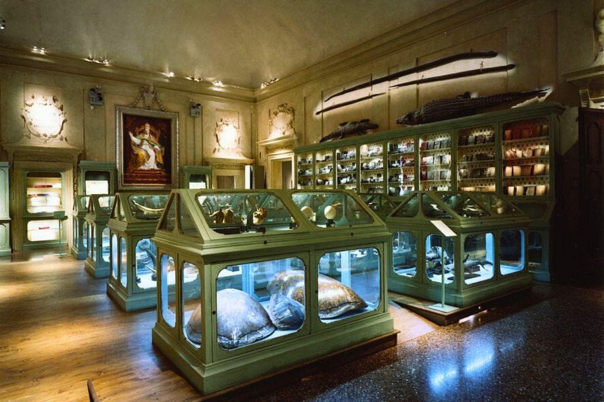 Palazzo Poggi Museums (Musei di Palazzo Poggi)