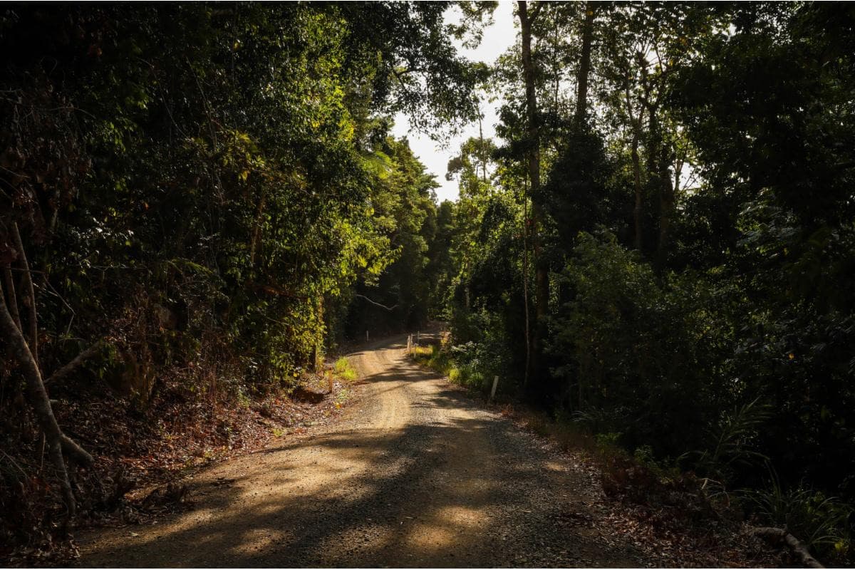 Conway Circuit (Whitsunday Great Walk)