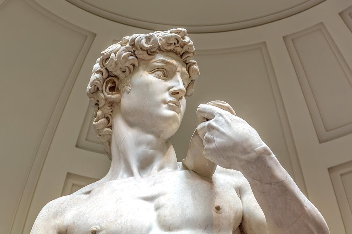 Michelangelo's Statue of David (Il Davide di Michelangelo)