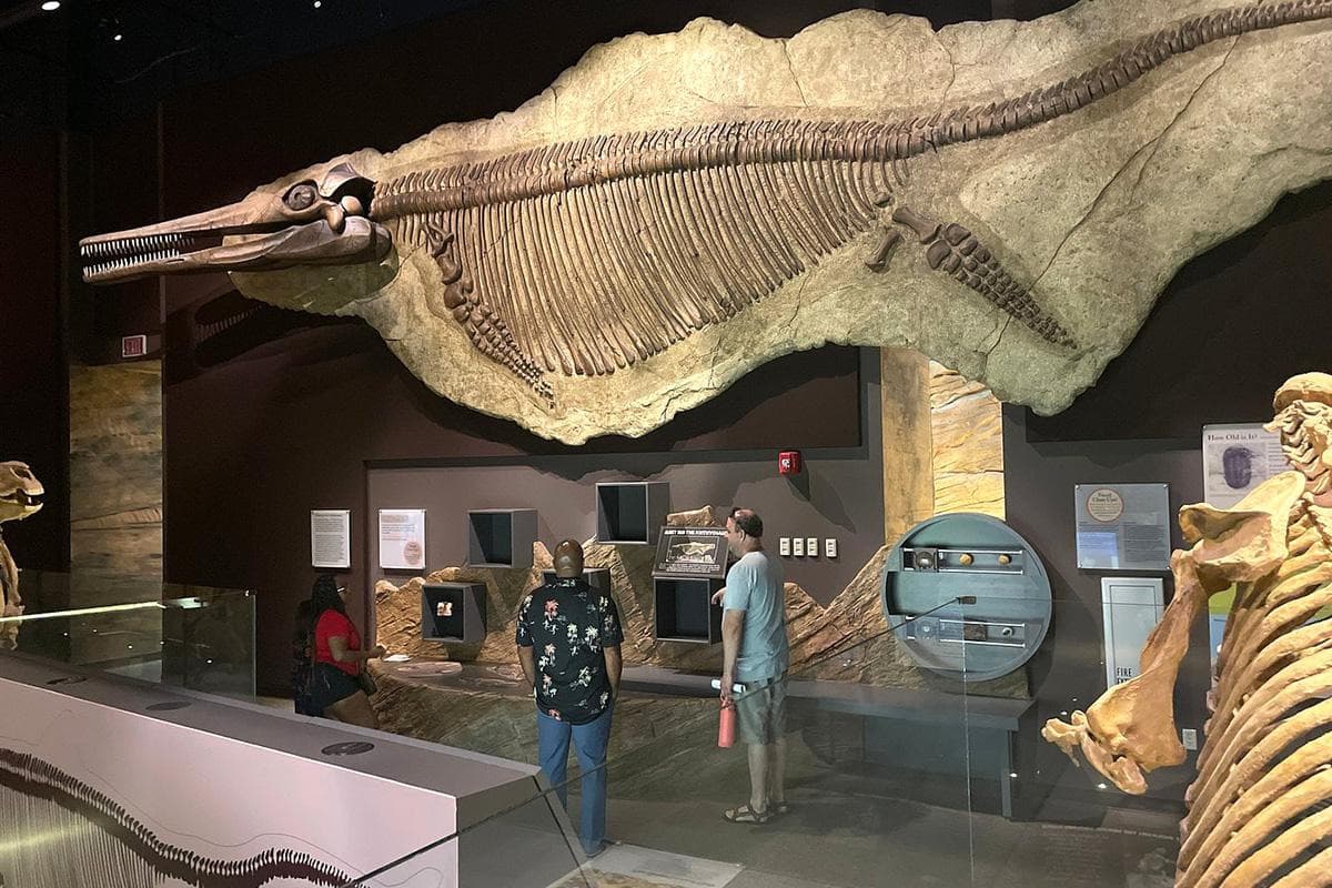 Nevada State Museum