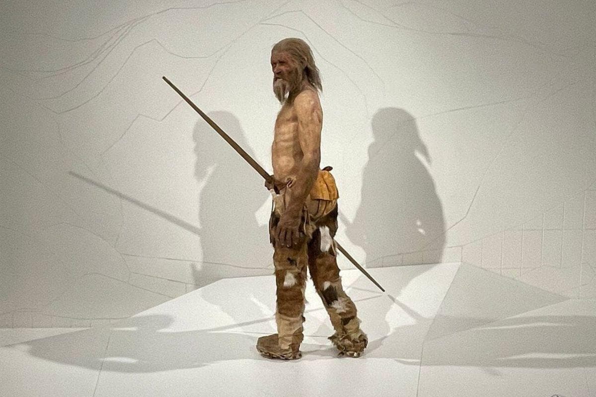 South Tyrol Museum of Archaeology