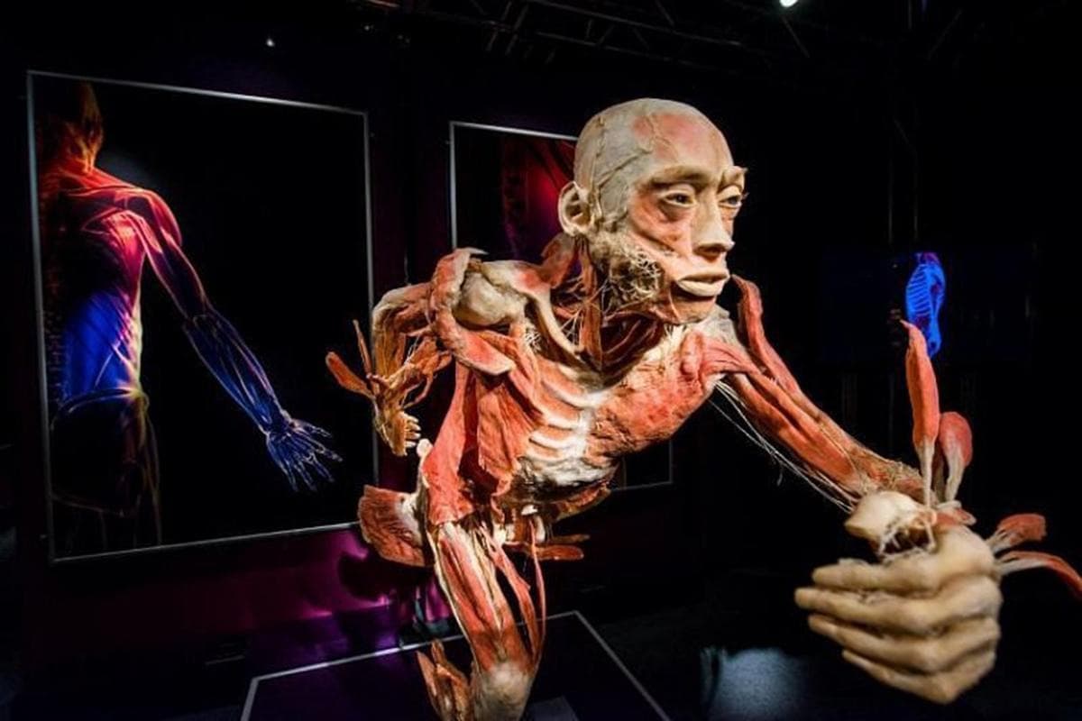 Body Worlds Amsterdam