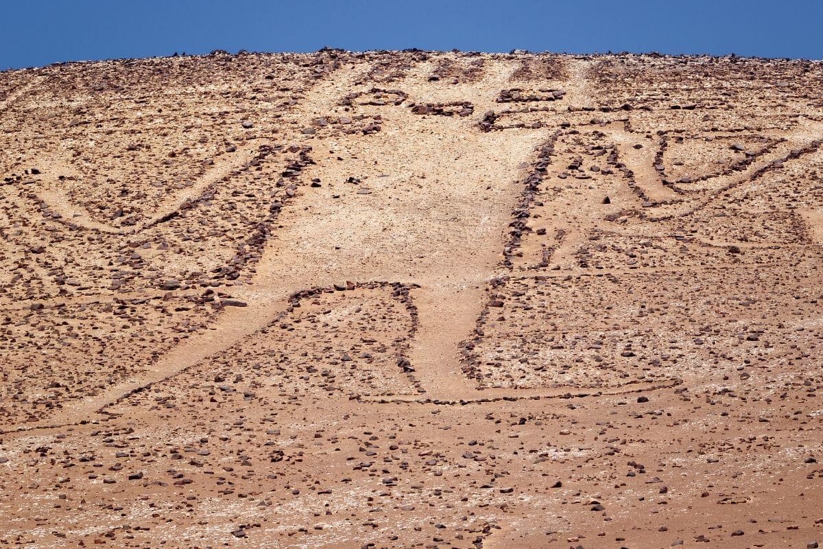 The Atacama Giant