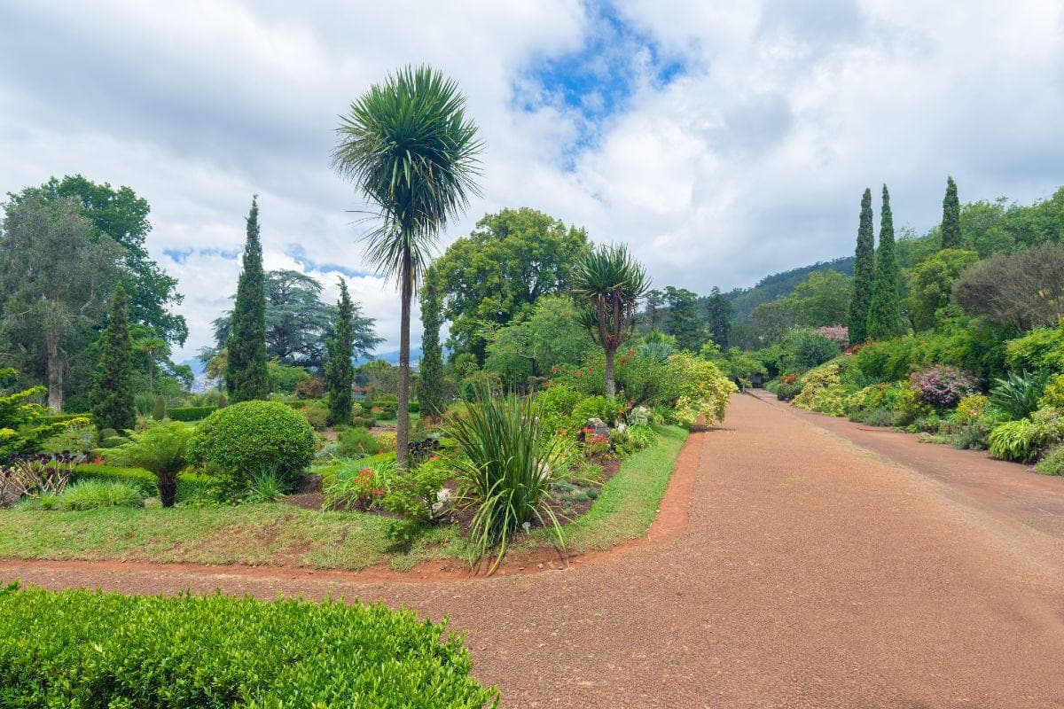 Palheiro Gardens