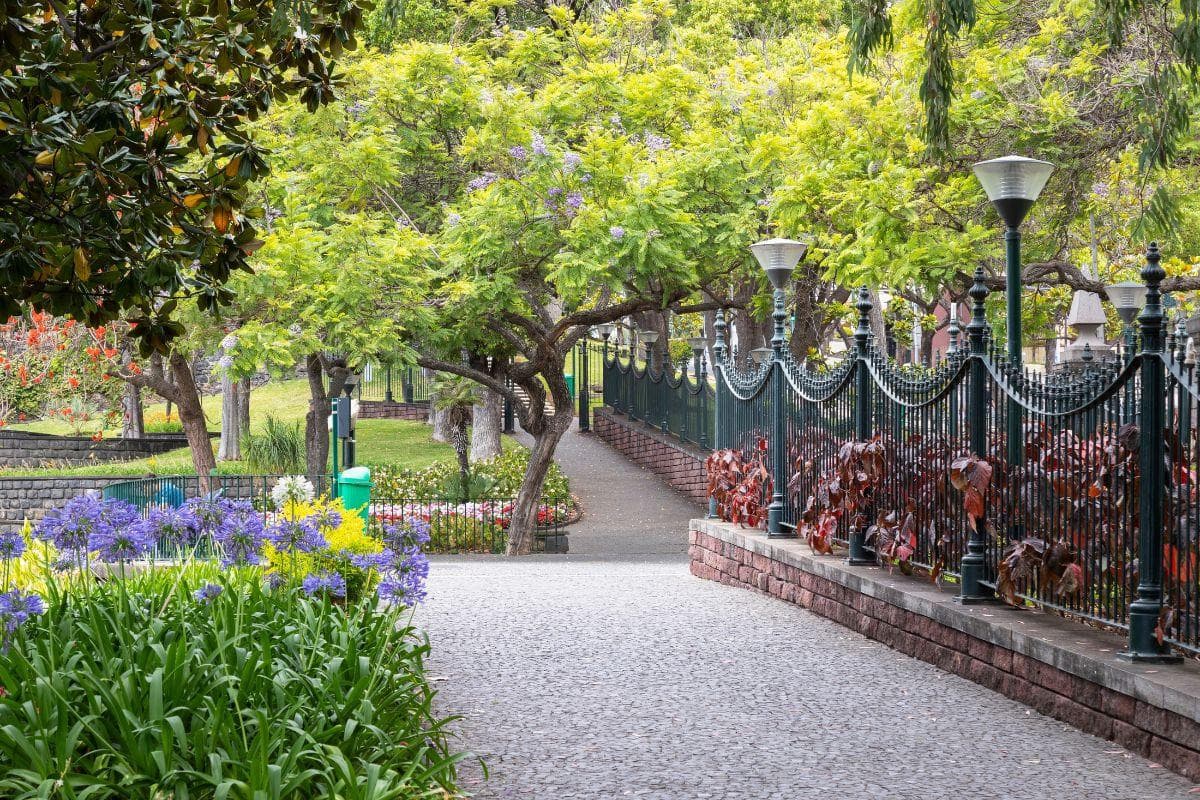 Santa Catarina Park (Parque de Santa Catarina)