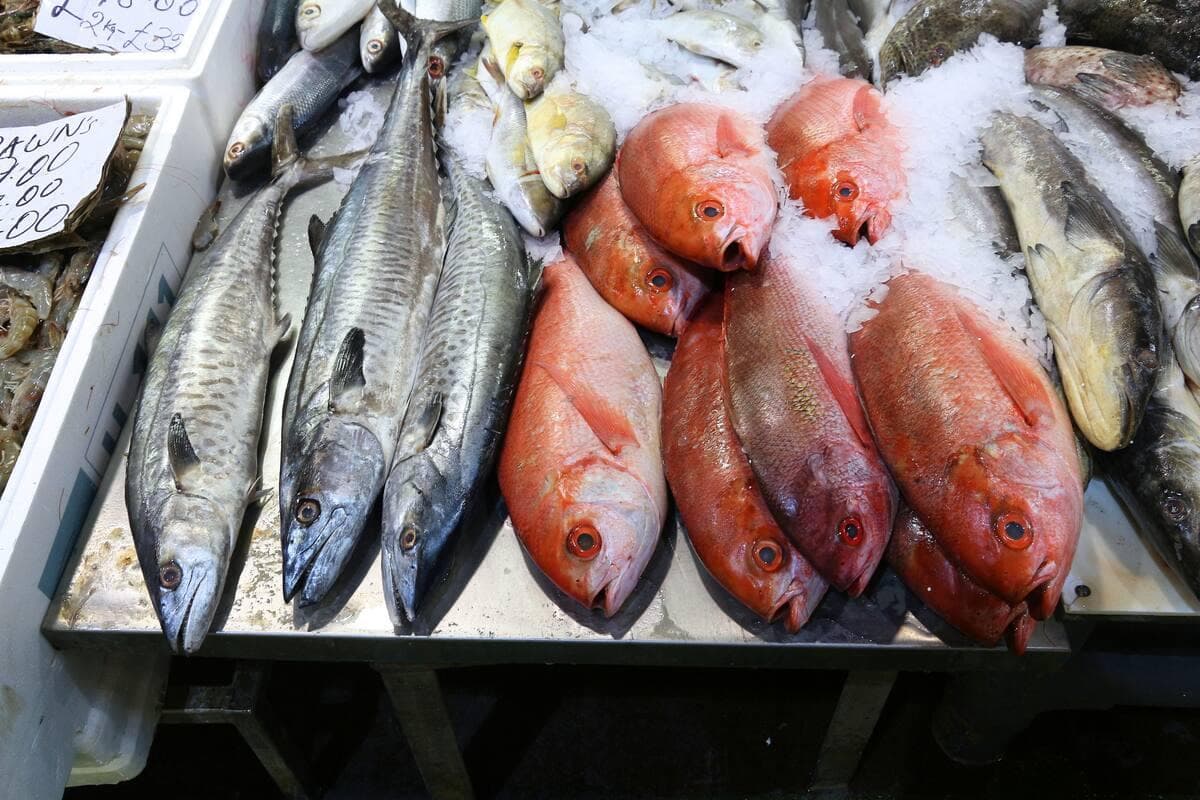 La Boqueria Market (Mercat de la Boqueria)