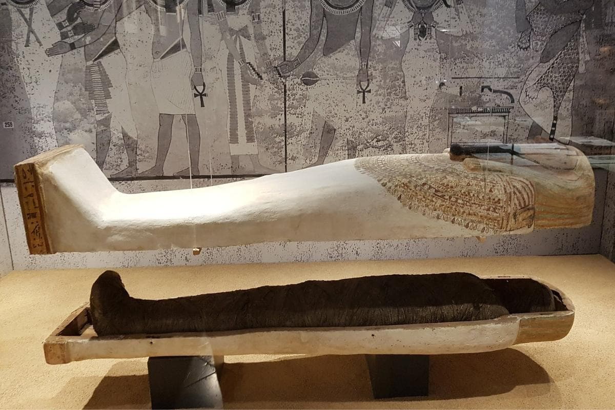 Egyptian Museum of Barcelona (Museu Egipci de Barcelona)
