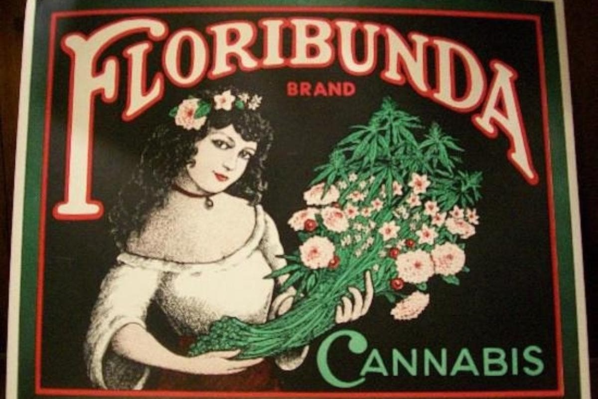 Hash Marihuana & Hemp Museum