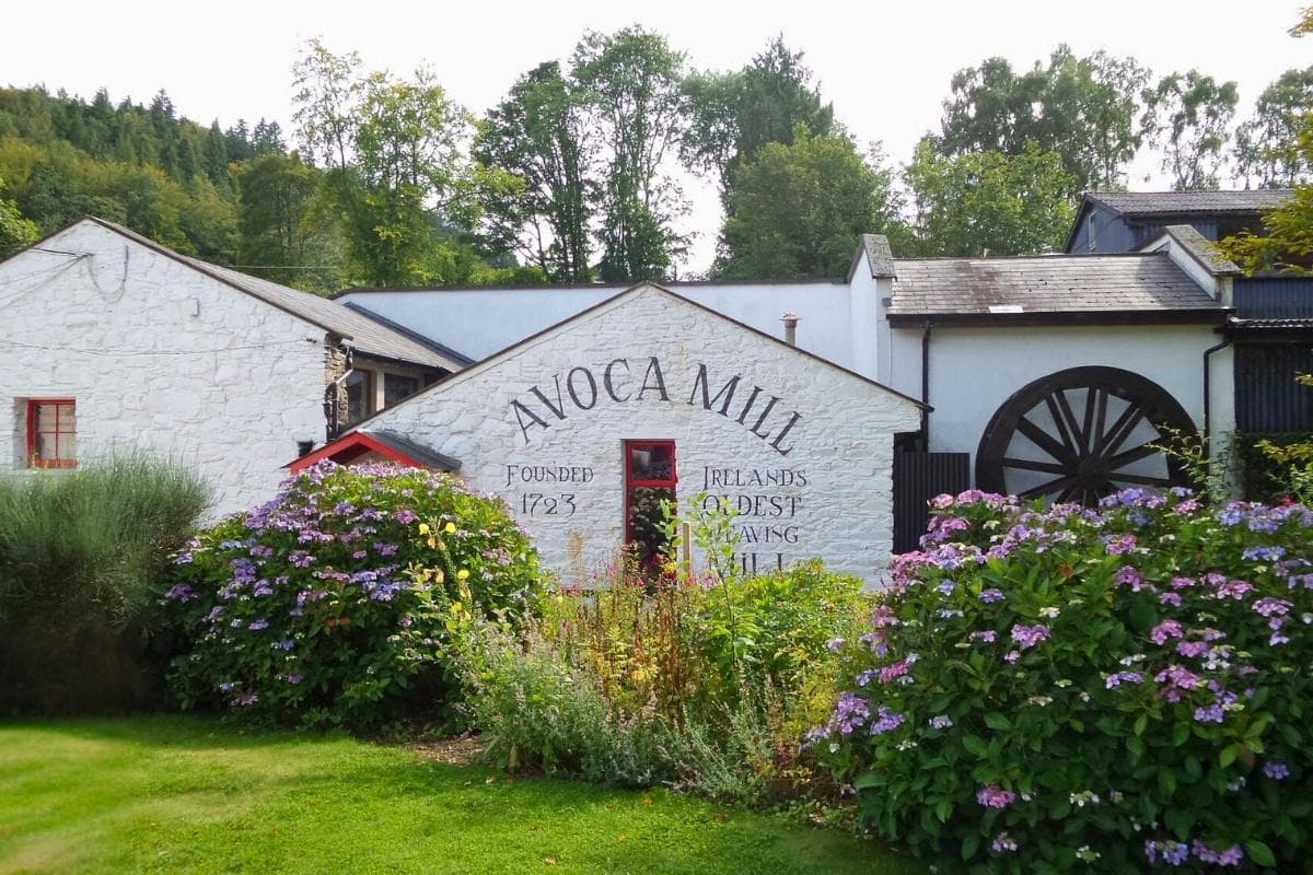 Avoca