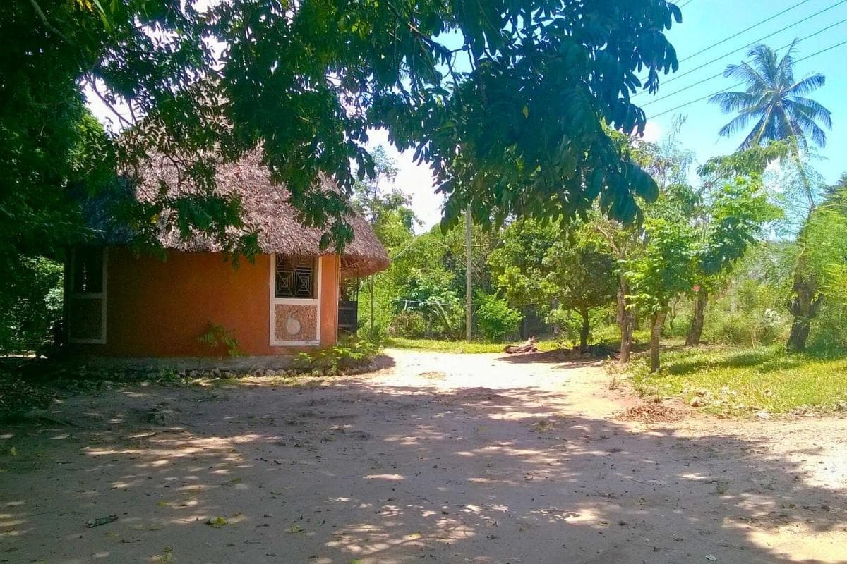 Kaya Kinondo Sacred Forest