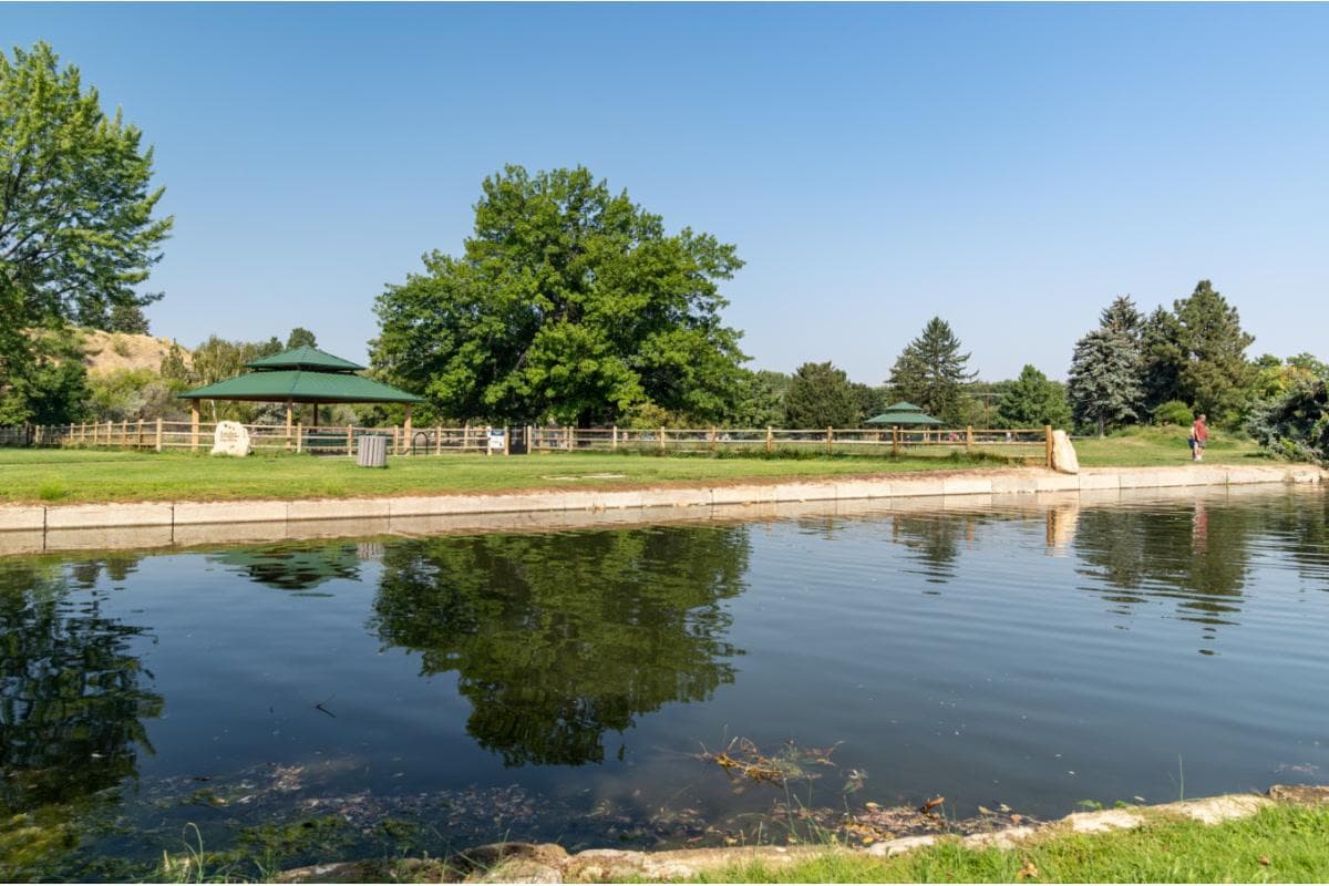 Ann Morrison Park
