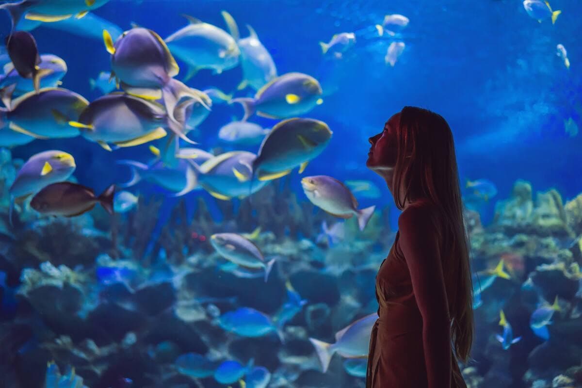 Vasco da Gama Aquarium (Aquário Vasco da Gama)