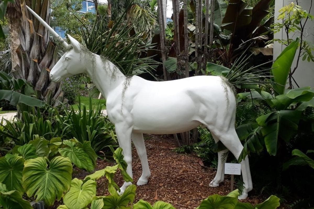 Miami Beach Botanical Garden
