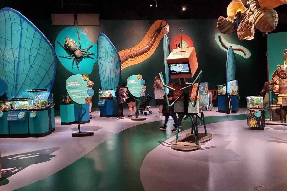 Audubon Insectarium