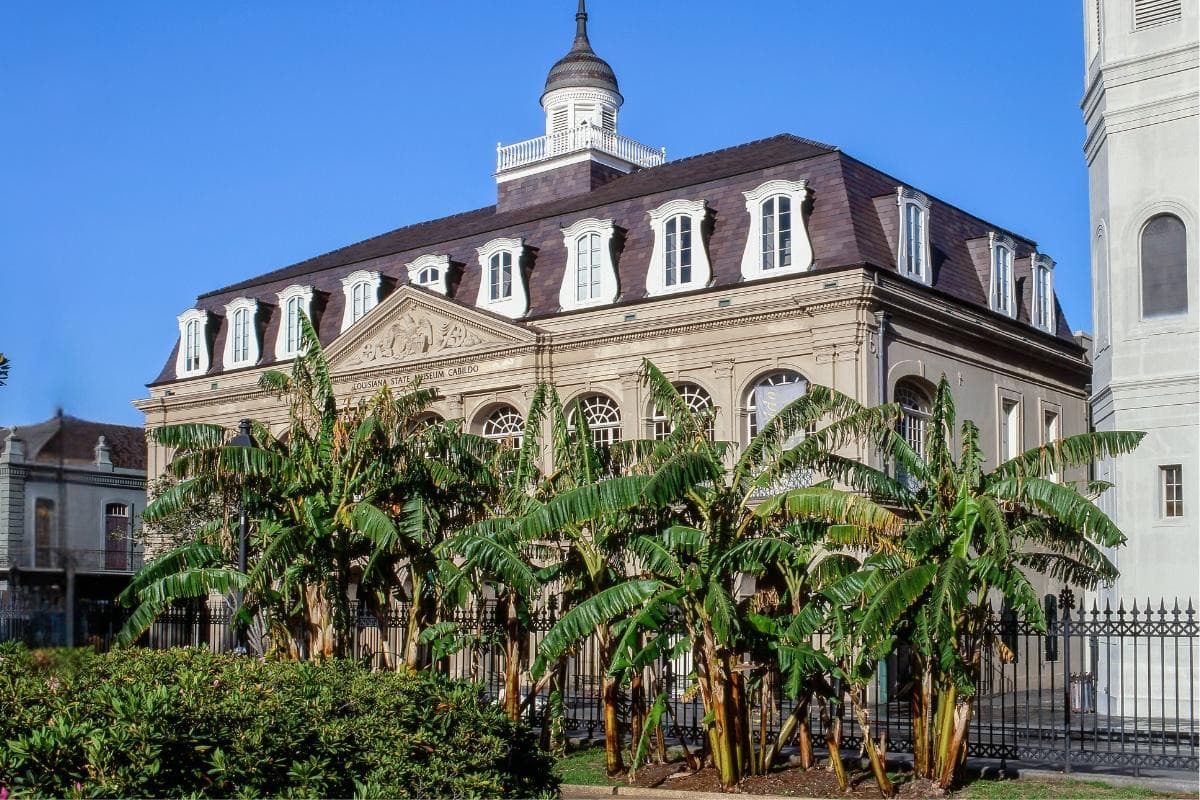 The Cabildo