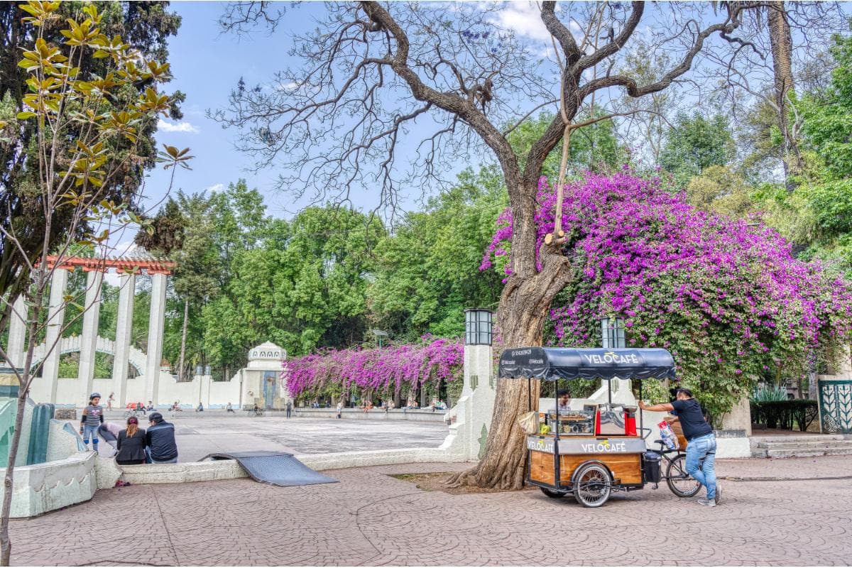 La Condesa