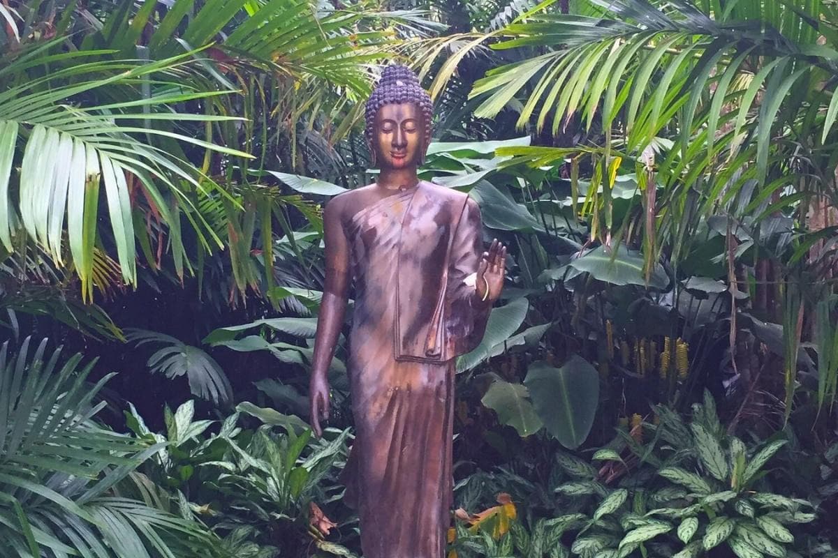 Lyon Arboretum