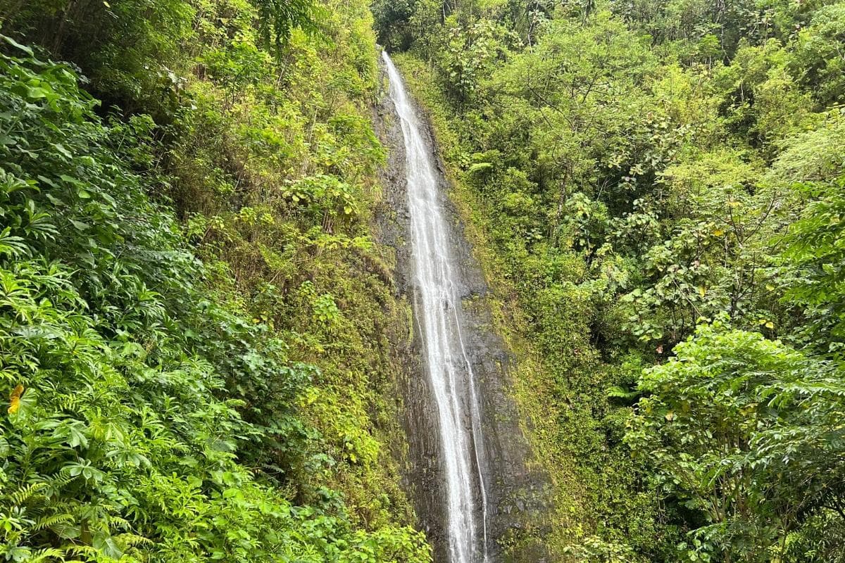 Manoa Falls