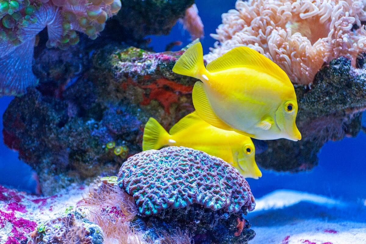 SEA LIFE® Busan Aquarium